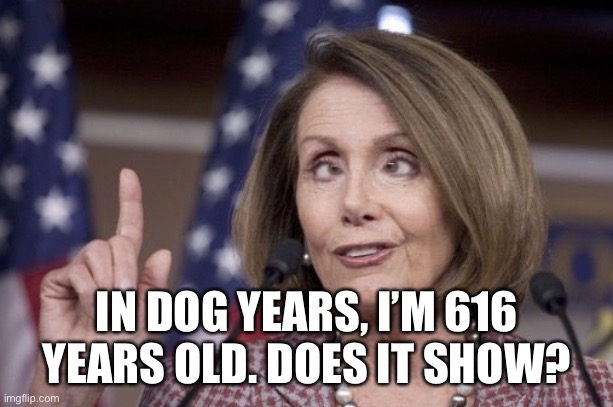 Dopey Pelosi | IN DOG YEARS, I’M 616 YEARS OLD. DOES IT SHOW? | image tagged in nancy pelosi | made w/ Imgflip meme maker