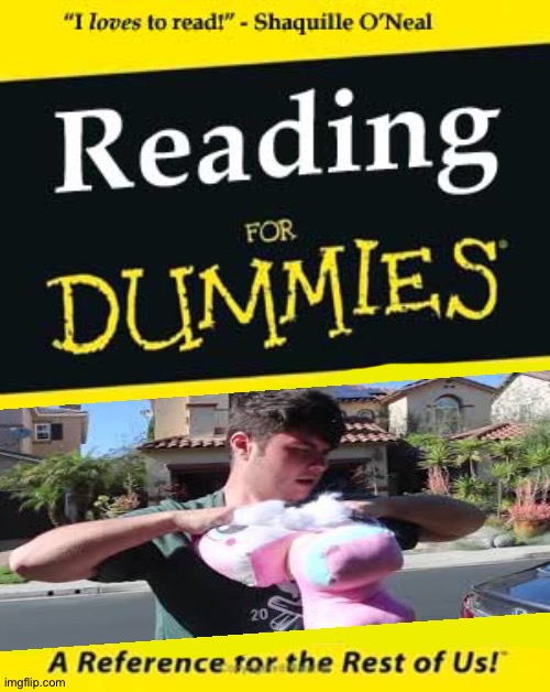 Reading for Destructions | image tagged in reading for dummies,plainrock124 only 2000 for ever made | made w/ Imgflip meme maker