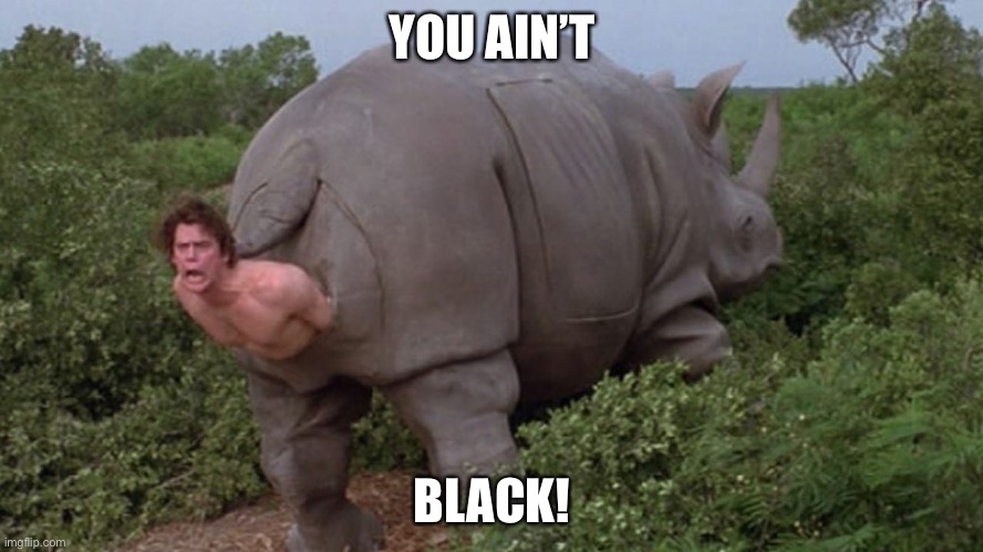 Ace Ventura rhino | YOU AIN’T BLACK! | image tagged in ace ventura rhino | made w/ Imgflip meme maker