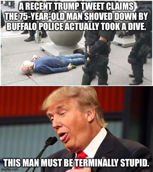 Terminally Stupid | A RECENT TRUMP TWEET CLAIMS THE 75-YEAR-OLD MAN SHOVED DOWN BY BUFFALO POLICE ACTUALLY TOOK A DIVE. THIS MAN MUST BE TERMINALLY STUPID. | image tagged in stupid trump | made w/ Imgflip meme maker