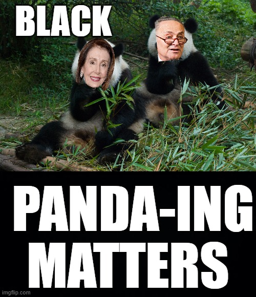 WHY IS THE DEMOCRATIC PARTY ALWAYS IN A RACE ABOUT SOMETHING? | BLACK; PANDA-ING MATTERS | image tagged in black background,black pandering,pelosi cultural appropriation | made w/ Imgflip meme maker