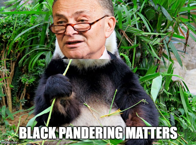 The Schumer Black Panda. | BLACK PANDERING MATTERS | image tagged in black pandering,democratic pandering to black voters,democrats pandering to black voters,chuck schumer black panda | made w/ Imgflip meme maker