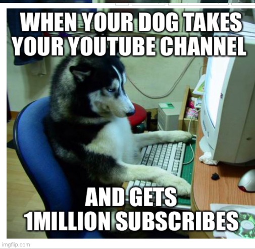 YouTube dog | image tagged in dog,youtube,memes | made w/ Imgflip meme maker