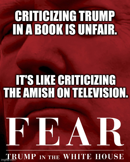 Trump | CRITICIZING TRUMP IN A BOOK IS UNFAIR. IT'S LIKE CRITICIZING THE AMISH ON TELEVISION. | image tagged in politics,idiot | made w/ Imgflip meme maker