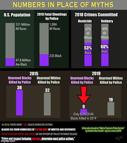 Police Statistics According to Article by Heather Mac Donald | image tagged in police,blm,black and white,race,statistics,chart | made w/ Imgflip meme maker