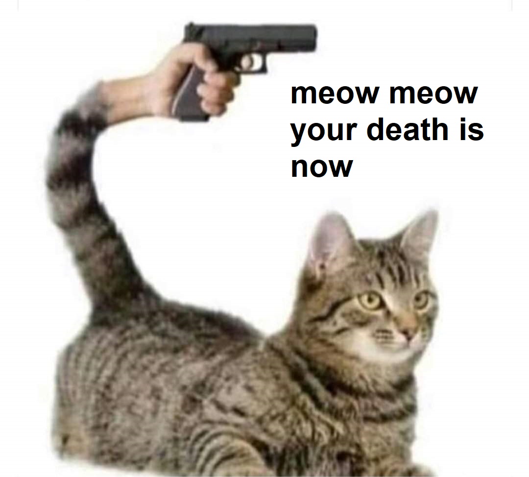 High Quality meow meow your death is now Blank Meme Template