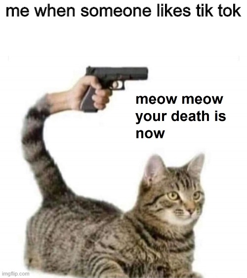 meow meow your death is now | me when someone likes tik tok | image tagged in meow meow your death is now,antitiktok,cats,guns | made w/ Imgflip meme maker