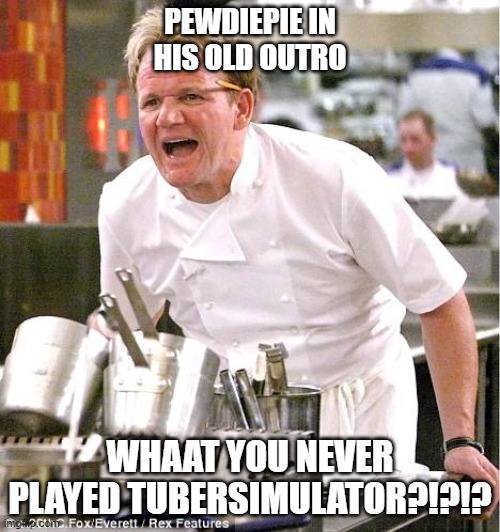 pewdiepie in his old outros be like: | PEWDIEPIE IN HIS OLD OUTRO; WHAAT YOU NEVER PLAYED TUBERSIMULATOR?!?!? | image tagged in memes,chef gordon ramsay | made w/ Imgflip meme maker