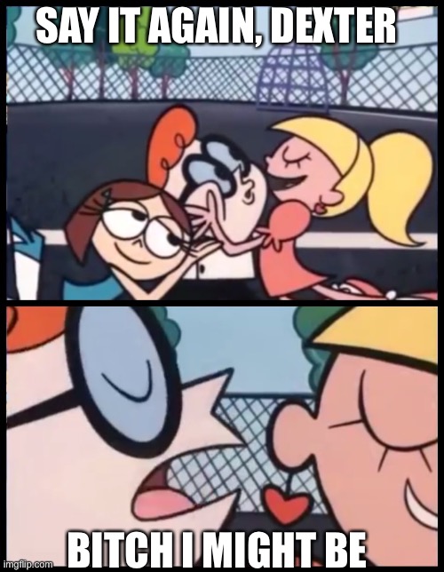 Say it Again, Dexter Meme | SAY IT AGAIN, DEXTER; BITCH I MIGHT BE | image tagged in memes,say it again dexter | made w/ Imgflip meme maker