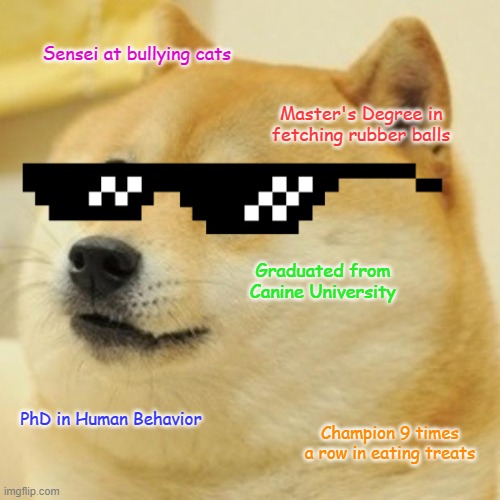 Smart Doge | Sensei at bullying cats; Master's Degree in fetching rubber balls; Graduated from Canine University; PhD in Human Behavior; Champion 9 times a row in eating treats | image tagged in memes,doge,intelligent dog | made w/ Imgflip meme maker