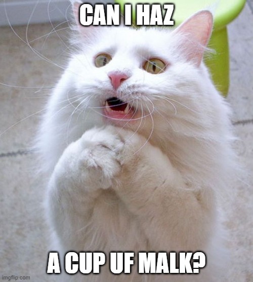 I Can Haz | CAN I HAZ; A CUP UF MALK? | image tagged in i can haz | made w/ Imgflip meme maker