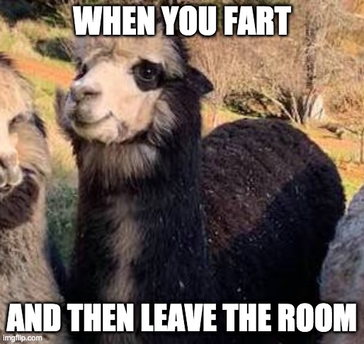 Happy Llama | WHEN YOU FART; AND THEN LEAVE THE ROOM | image tagged in llama | made w/ Imgflip meme maker