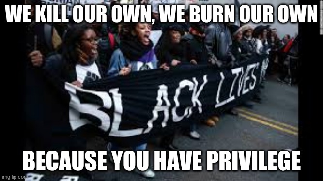 I am not sure how that helps must be my privilege | WE KILL OUR OWN, WE BURN OUR OWN; BECAUSE YOU HAVE PRIVILEGE | image tagged in black protests,we burn our own,we kill our own,it is all your fault,white privilege is a racist lie,blm set blacks back gererati | made w/ Imgflip meme maker