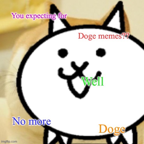 Did you expecting for something??? Well i take it for no | image tagged in doge,memes,funny,cats,dog vs cat,reference | made w/ Imgflip meme maker
