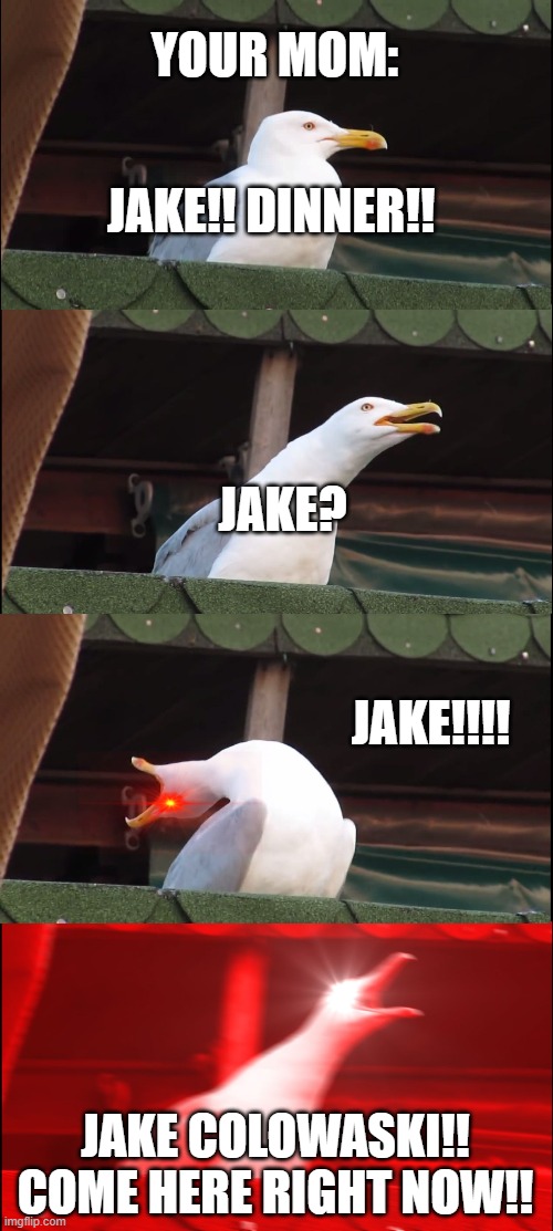 Your mom when she calls your full name | YOUR MOM:; JAKE!! DINNER!! JAKE? JAKE!!!! JAKE COLOWASKI!! COME HERE RIGHT NOW!! | image tagged in memes,inhaling seagull,gifs,this is a meme but i put gif tag on it | made w/ Imgflip meme maker