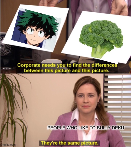 They're The Same Picture | PEOPLE WHO LIKE TO BULLY DEKU | image tagged in memes,they're the same picture | made w/ Imgflip meme maker