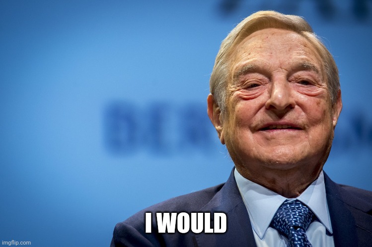 Gleeful George Soros | I WOULD | image tagged in gleeful george soros | made w/ Imgflip meme maker