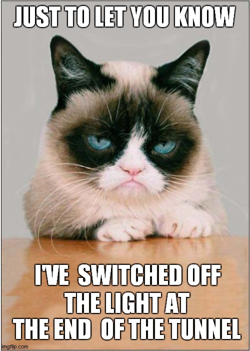 Grumpys Doom & Gloom Message | JUST TO LET YOU KNOW; I'VE  SWITCHED OFF; THE LIGHT AT THE END  OF THE TUNNEL | image tagged in fun,grumpy cat,covid,light at the end of tunnel | made w/ Imgflip meme maker