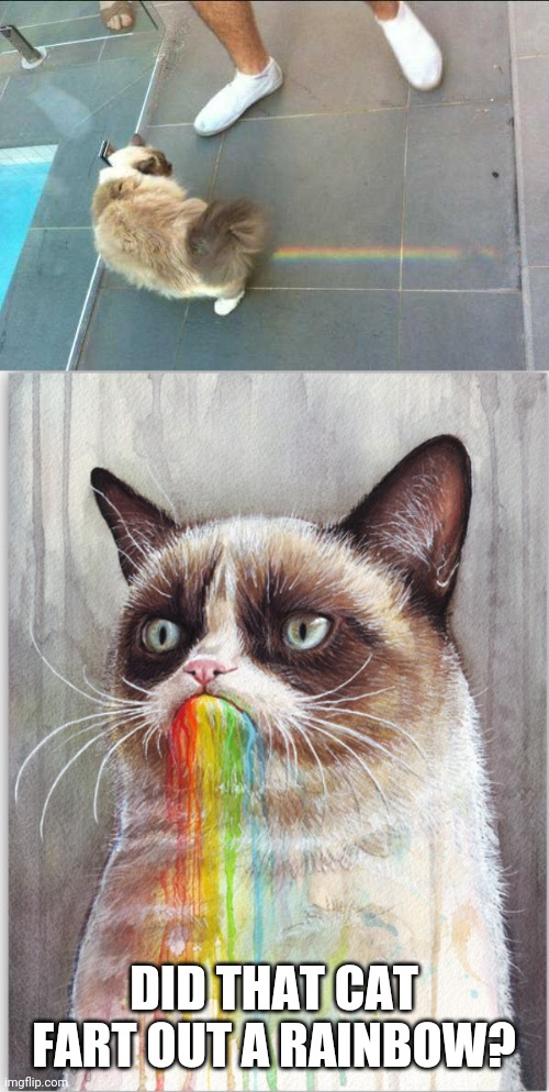 RAINBOW FART | DID THAT CAT FART OUT A RAINBOW? | image tagged in grumpy cat eats rainbows,memes,cats,funny cats,rainbow | made w/ Imgflip meme maker