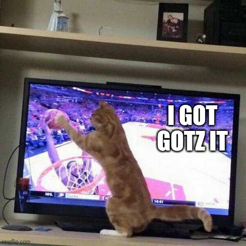 KITTY DUNK | I GOT GOTZ IT | image tagged in cats,funny cats,basketball | made w/ Imgflip meme maker