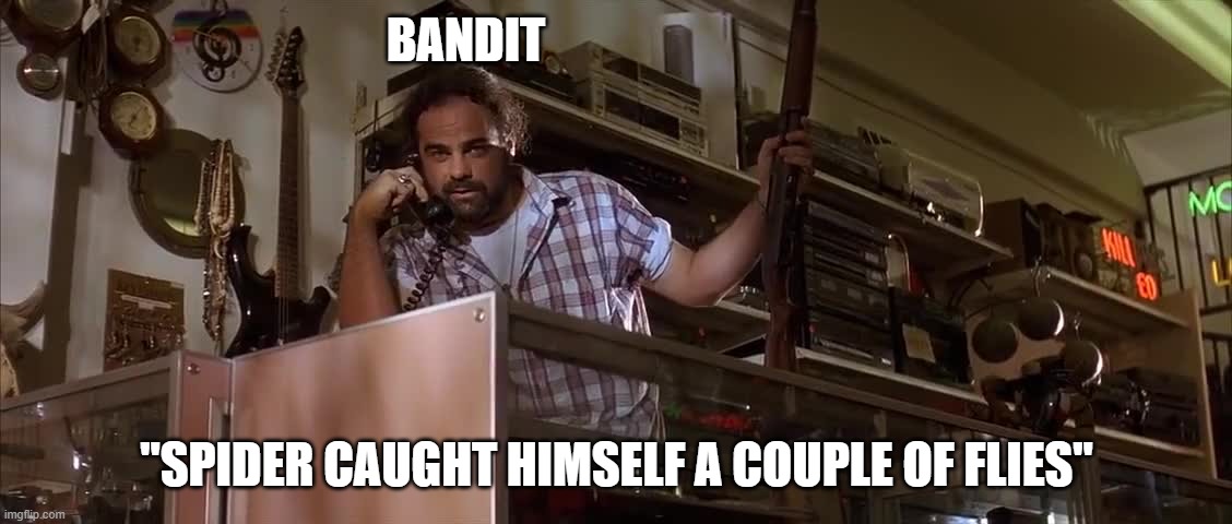 BANDIT; "SPIDER CAUGHT HIMSELF A COUPLE OF FLIES" | made w/ Imgflip meme maker