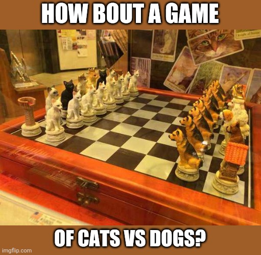 DOGS VS CATS | HOW BOUT A GAME; OF CATS VS DOGS? | image tagged in dogs,cats,chess | made w/ Imgflip meme maker
