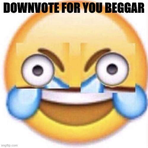 LOL | DOWNVOTE FOR YOU BEGGAR | image tagged in lol | made w/ Imgflip meme maker