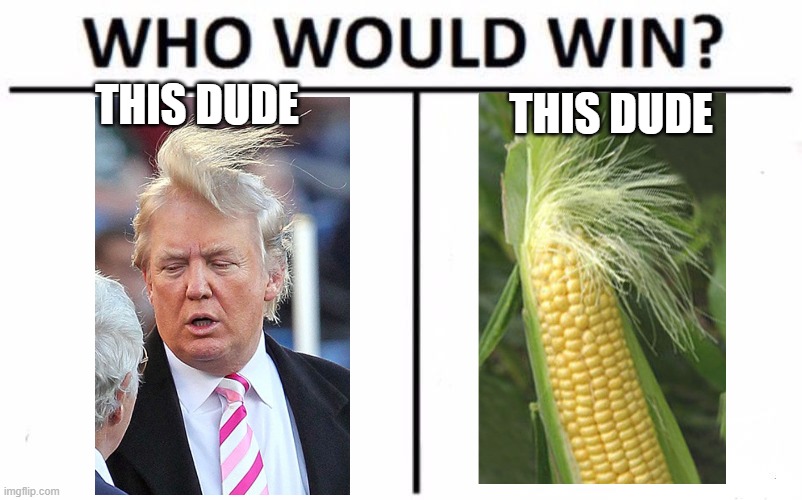 Who Would Win? | THIS DUDE; THIS DUDE | image tagged in memes,who would win | made w/ Imgflip meme maker