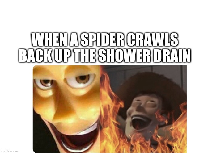 Satanic Woody | WHEN A SPIDER CRAWLS BACK UP THE SHOWER DRAIN | image tagged in satanic woody | made w/ Imgflip meme maker