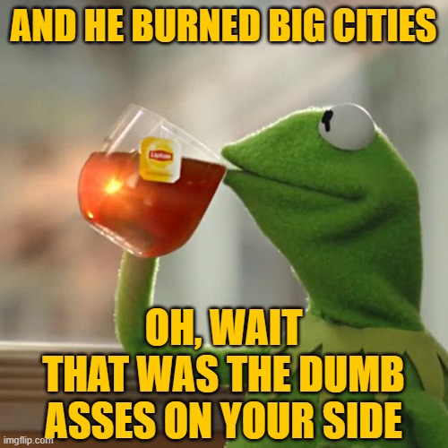 But That's None Of My Business Meme | AND HE BURNED BIG CITIES OH, WAIT
THAT WAS THE DUMB ASSES ON YOUR SIDE | image tagged in memes,but that's none of my business,kermit the frog | made w/ Imgflip meme maker