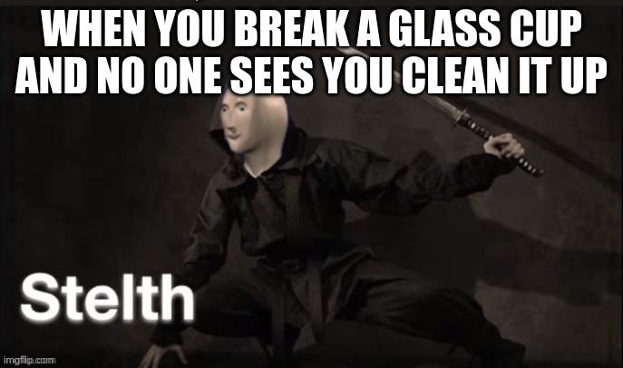 stealth | WHEN YOU BREAK A GLASS CUP AND NO ONE SEES YOU CLEAN IT UP | image tagged in meme man stelth,memes | made w/ Imgflip meme maker