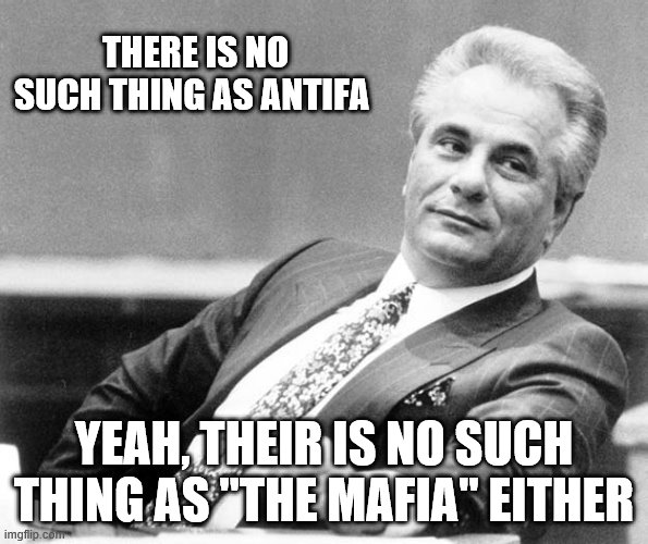 no such thing as "Antifa" | THERE IS NO SUCH THING AS ANTIFA; YEAH, THEIR IS NO SUCH THING AS "THE MAFIA" EITHER | image tagged in mafia,teflon don | made w/ Imgflip meme maker