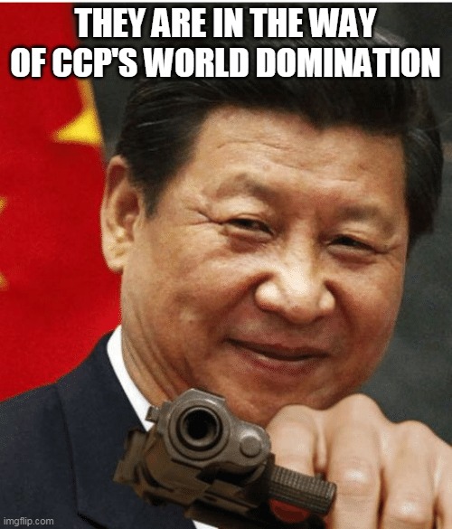 Xi Jinping | THEY ARE IN THE WAY OF CCP'S WORLD DOMINATION | image tagged in xi jinping | made w/ Imgflip meme maker