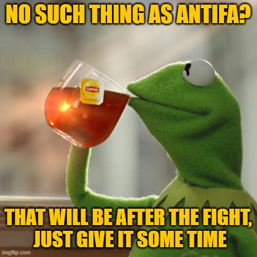 But That's None Of My Business Meme | NO SUCH THING AS ANTIFA? THAT WILL BE AFTER THE FIGHT,
 JUST GIVE IT SOME TIME | image tagged in memes,but that's none of my business,kermit the frog | made w/ Imgflip meme maker