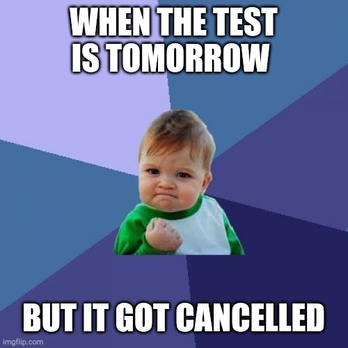 Success Kid Meme | WHEN THE TEST IS TOMORROW; BUT IT GOT CANCELLED | image tagged in memes,success kid | made w/ Imgflip meme maker