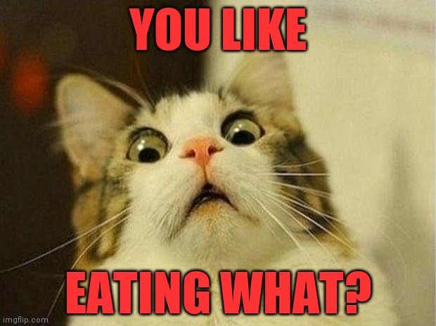 Scared Cat | YOU LIKE; EATING WHAT? | image tagged in memes,scared cat | made w/ Imgflip meme maker