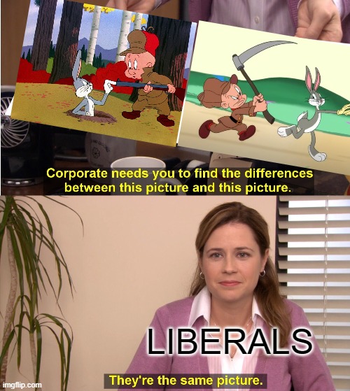 Fudd | LIBERALS | image tagged in memes,they're the same picture,liberal logic | made w/ Imgflip meme maker