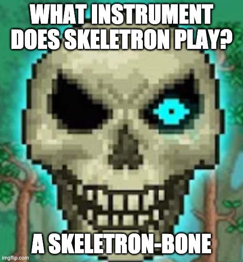 A terraria joke | WHAT INSTRUMENT DOES SKELETRON PLAY? A SKELETRON-BONE | image tagged in terraria,sans pun,undertale | made w/ Imgflip meme maker