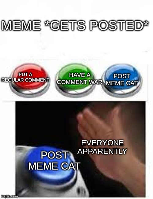 just an observation | MEME *GETS POSTED*; PUT A REGULAR COMMENT; POST MEME CAT; HAVE A COMMENT WAR; EVERYONE APPARENTLY; POST MEME CAT | image tagged in red green blue buttons | made w/ Imgflip meme maker