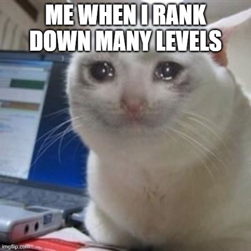 Cryin' Gamer Cat | ME WHEN I RANK DOWN MANY LEVELS | image tagged in sad cat tears | made w/ Imgflip meme maker