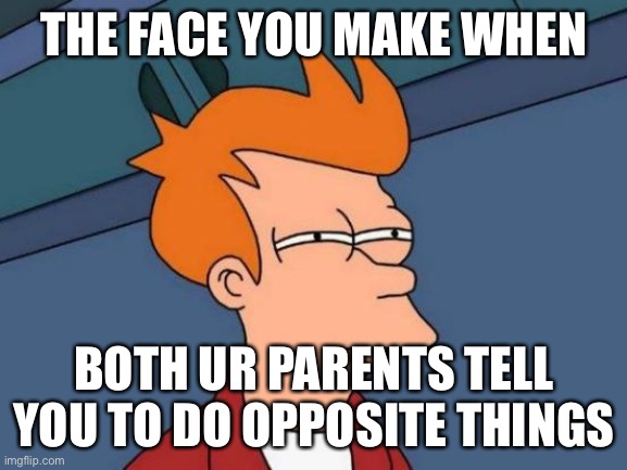 When your parents tell you to do opposite things | THE FACE YOU MAKE WHEN; BOTH UR PARENTS TELL YOU TO DO OPPOSITE THINGS | image tagged in memes,funny,parents | made w/ Imgflip meme maker