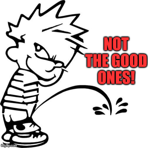 Calvin Peeing | NOT THE GOOD ONES! | image tagged in calvin peeing | made w/ Imgflip meme maker