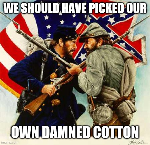 WHAT THEY BOTH WERE THINKING | WE SHOULD HAVE PICKED OUR; OWN DAMNED COTTON | image tagged in civil war soldiers | made w/ Imgflip meme maker