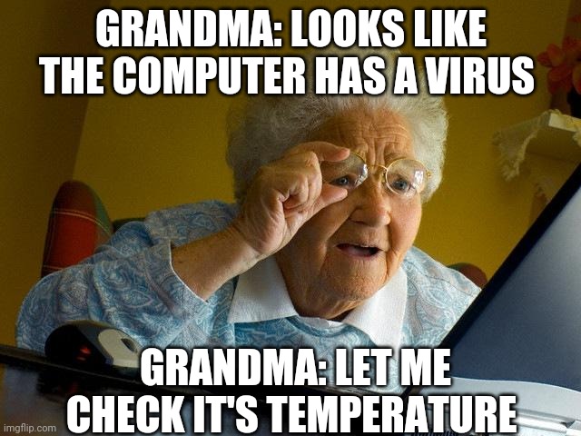 Grandma Finds The Internet Meme | GRANDMA: LOOKS LIKE THE COMPUTER HAS A VIRUS; GRANDMA: LET ME CHECK IT'S TEMPERATURE | image tagged in memes,grandma finds the internet | made w/ Imgflip meme maker