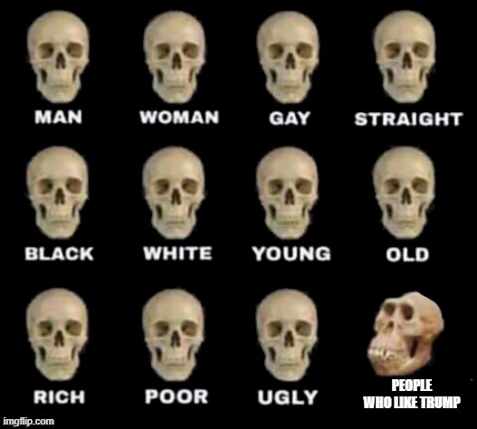 idiot skull | PEOPLE WHO LIKE TRUMP | image tagged in idiot skull | made w/ Imgflip meme maker