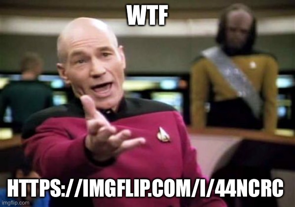https://imgflip.com/i/44ncrc (Go to this link and see what I’m talking about) | WTF; HTTPS://IMGFLIP.COM/I/44NCRC | image tagged in memes,picard wtf | made w/ Imgflip meme maker