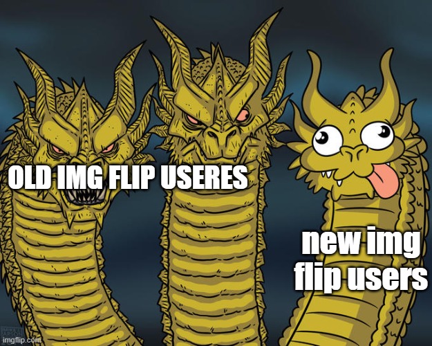 new img flip users | OLD IMG FLIP USERES; new img flip users | image tagged in derpy dragon | made w/ Imgflip meme maker