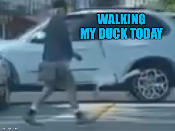 Normal day today. | WALKING MY DUCK TODAY | image tagged in memes,funny memes | made w/ Imgflip meme maker