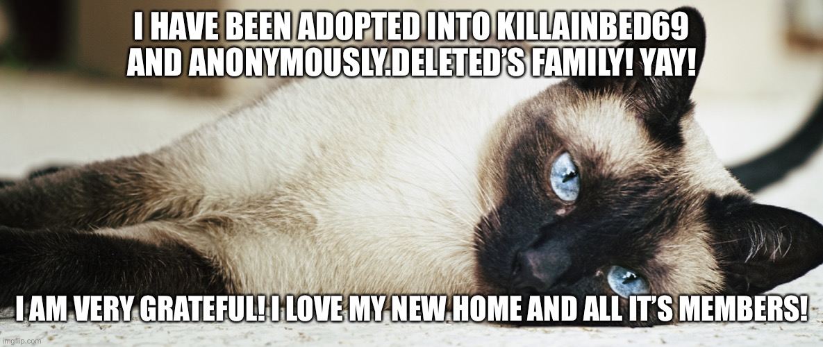 I HAVE BEEN ADOPTED INTO KILLAINBED69 AND ANONYMOUSLY.DELETED’S FAMILY! YAY! I AM VERY GRATEFUL! I LOVE MY NEW HOME AND ALL IT’S MEMBERS! | image tagged in adopted,yay,cat | made w/ Imgflip meme maker