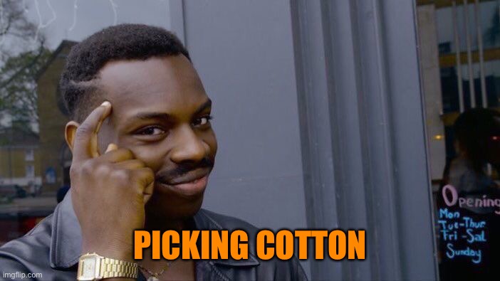 Roll Safe Think About It Meme | PICKING COTTON | image tagged in memes,roll safe think about it | made w/ Imgflip meme maker